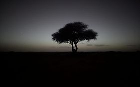 Mhamid Sahara Camp - Mhamid El Ghizlane