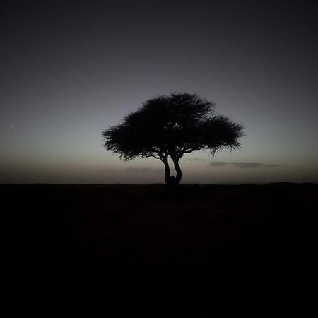 Hotel Mhamid Sahara Camp - Mhamid El Ghizlane M'Hamid Exteriér fotografie