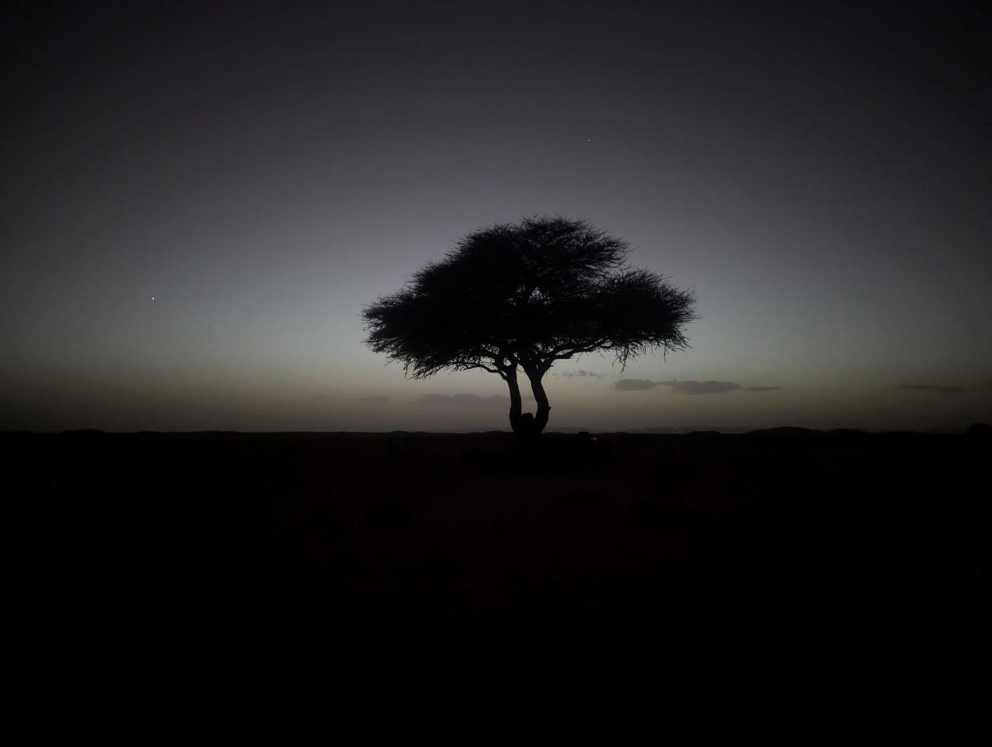 Hotel Mhamid Sahara Camp - Mhamid El Ghizlane M'Hamid Exteriér fotografie